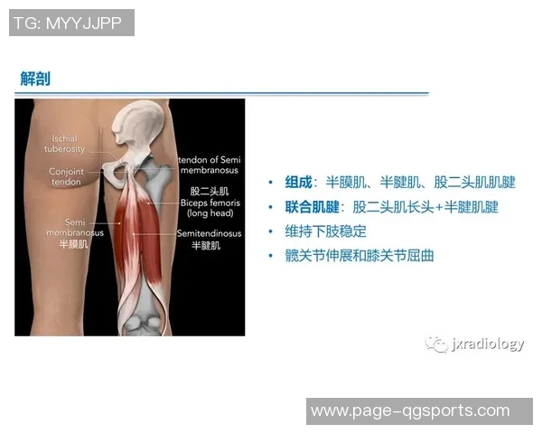 多夫比克决定保守治疗不做肌腱手术预计将于2月初重返赛场